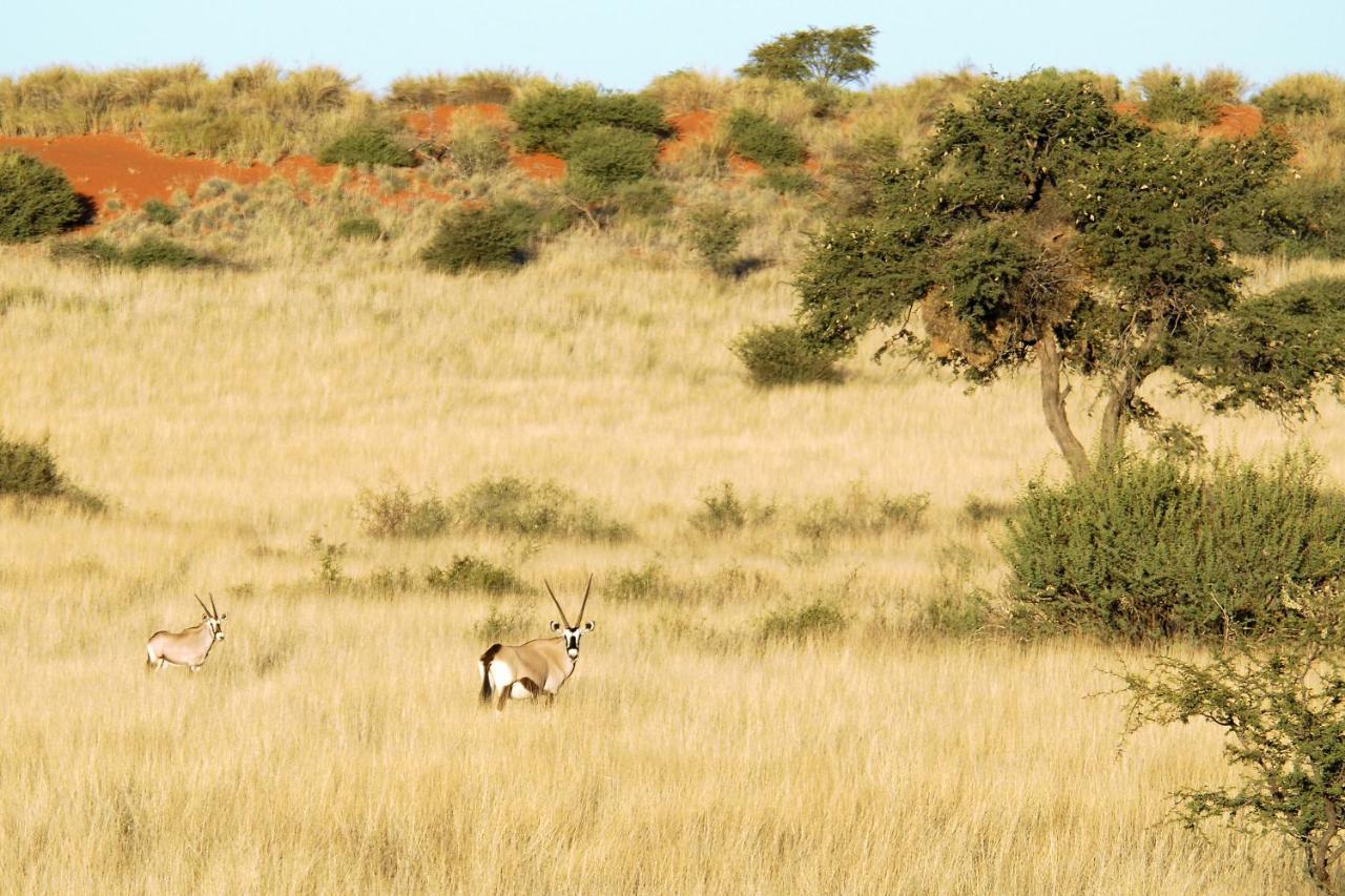 Hardap Gondwana Kalahari Anib Lodge מראה חיצוני תמונה